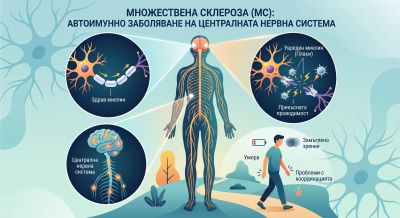 Множествена склероза (МС)  и умора при ходене: как да планираме придвижването